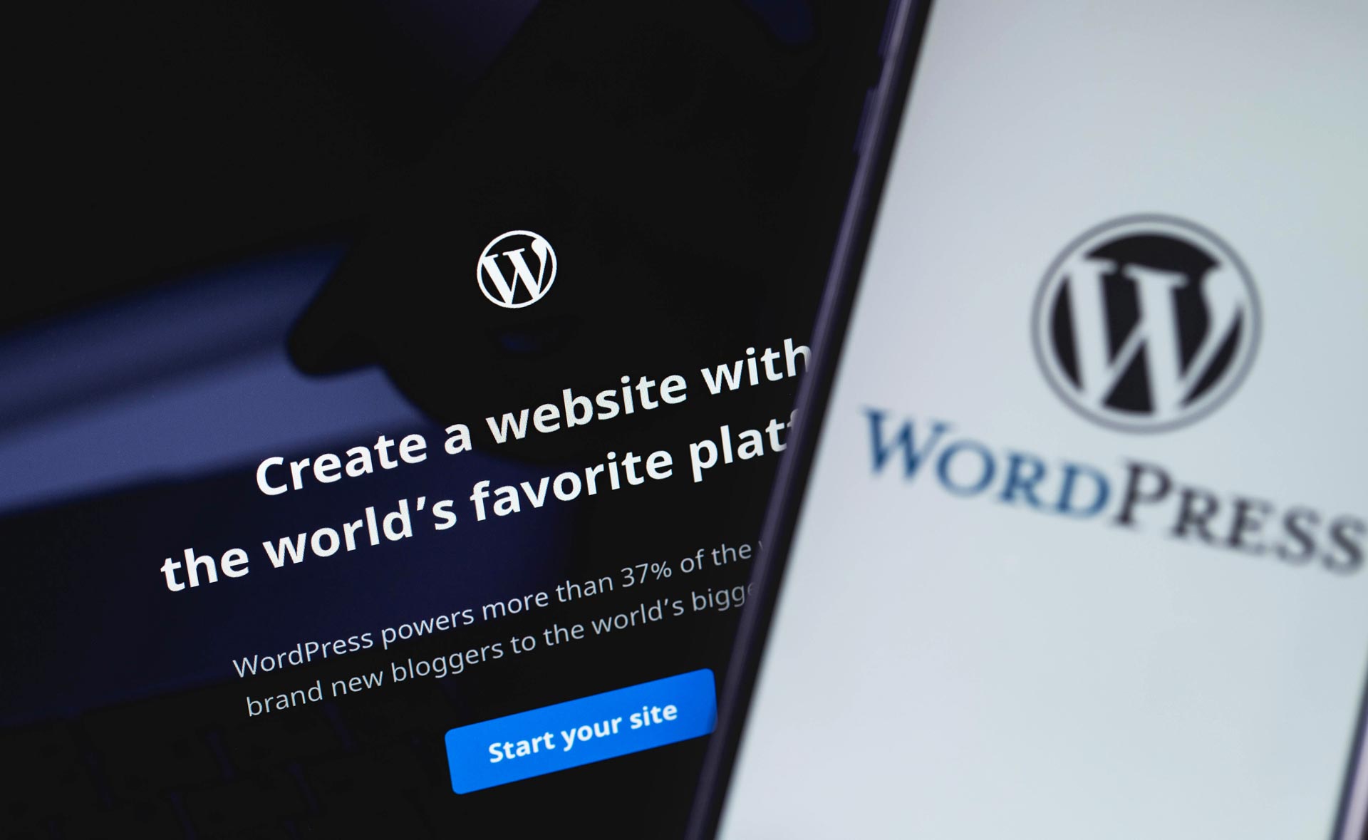 Why WordPress