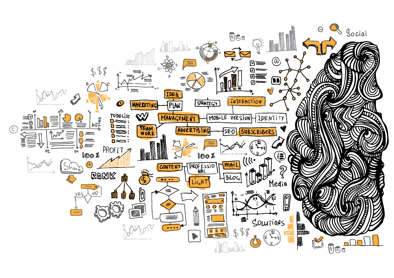 Bluehands, Branding and Marketing Services Melbourne, Ringwood, Logic, Left Brain